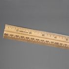 Ruler, School, 12"