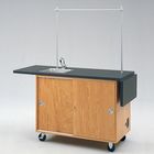 Mobile Lab Tables with Drop Leaves