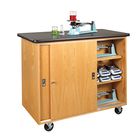 Mobile Balance Storage Cabinet