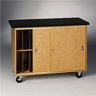 Mobile Laptop Storage Cabinet