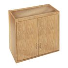 Wall-Mounted Storage Cabinets