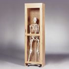 Skeleton Cabinets