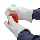 Zetex&reg; Gloves