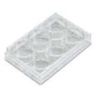 Cell Culture Plates Sterile