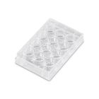 12-Well Cell Culture Plate