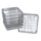 Polystyrene Square Integrid Petri Dish, Pack of 10