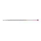 Red Spirit Filled Partial Immersion 12 In Thermometer  20 To 110 C