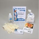 Ap Biology Lab 7 Genetics Of Drosophila Kit Replacement Set With Perishables