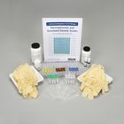 Carolina Investigations&reg; for AP&reg; Biology: Electrophoresis and Simulated Genetic Screen