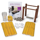 Carolina&reg; Introduction to Momentum and Collisions 