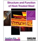 Structure and Function of Heat-Treated Steel