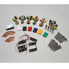 Carolina&reg; Lemon Battery Kit