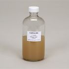 Dnase Agar Bottle