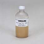 Nutrient Agar 1 5 Prepared Media Bottle 125 Ml