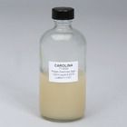 Potato Dextrose Agar Prepared Media Bottle 125 Ml