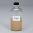 Yeast Malt Agar Prepared Media Bottle 125 Ml