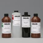 Gram Stain Kit Large