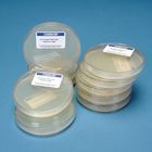 Cornmeal-Dextrose-Peptone Agar, One-Part Plates, 100 x 15 mm, Pack of 10