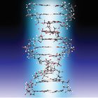 Orbit&trade; Proview DNA Model