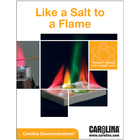 Like a Salt to a Flame Digital Resources