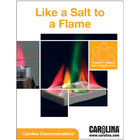 Like A Salt To A Flame Digital Resources