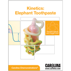 Kinetics Of Elephant Toothpaste Digital Resources