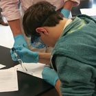 Carolina Chemonstrations&reg; for Use with AP&reg; Chemistry: Complete Demo Package