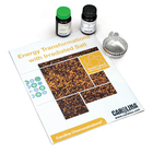 Energy Transformations with Irradiated Salt