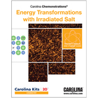 Energy Transformations with Irradiated Salt Digital Resources