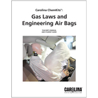 Gas Laws and Engineering Airbags Digital Resources