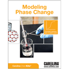 Modeling Phase Change Digital Resources