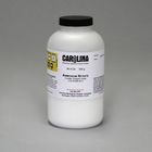 thumbnail image 2 of Ammonium Thiocyanate – ACS Grade, 1 Pound (16 Oz) High Purity Lab Chemical 2 of 6