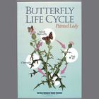 Butterfly Life Cycle Poster