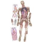 Look Inside Me MRI Scan Set