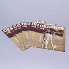 KIDS DISCOVER: Deserts, Pack of 8