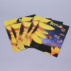 KIDS DISCOVER: Bees, Pack of 8