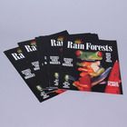 KIDS DISCOVER: Rain Forest, Pack of 8