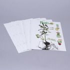 KIDS DISCOVER: Plants, Pack of 8