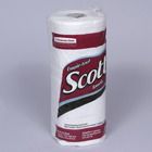 Paper Towel, White, Roll
