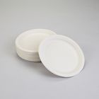 Paper Plate, Heavy-Duty, Pack of 50