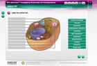 STC-Secondary&trade;: Investigating Biodiversity and Interdependence Interactive Whiteboard Activity