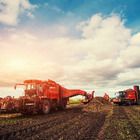 Carolina Investigations® for AP® Environmental Sciences: Agriculture and Feeding a Growing Human Population