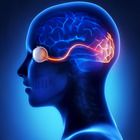 Optics of the Human Eye