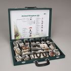 Animal Kingdom II Set, Plastomount