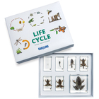 Carolina&reg; Frog Development Set