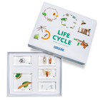 Silkworm Life Cycle Set