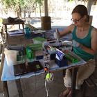 Studying Genomes in the Madagascar Forest Using miniPCR®