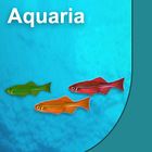 Aquarium Snails, Marine, Living