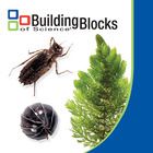 Building Blocks Of Science Voucher Life In Ecosystems 2nd And 3d Editions