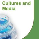 Media Ingredients And Culture Additives